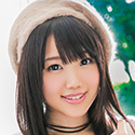 夏野向日葵