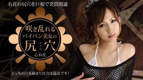 CARIBBEANCOM-012913-249 รูก้นโกนสวยบานสะพรั่ง