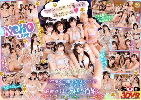 DSVR-1525 [VR] Saat aku pergi ke kafe kucing, tiba-tiba muncul gadis kucing!? ~Seks harem vagina berjiwa bebas dengan banyak jilatan~