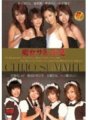 FSET-039 荡妇峰会 2