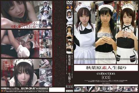 GS-1548 คอลเลกชันภาพถ่ายสมัครเล่นอากิฮาบาระ [03]