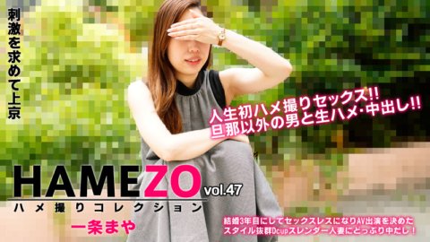 HEYZO-2943 HAMEZO～하메촬리 컬렉션～vol.47