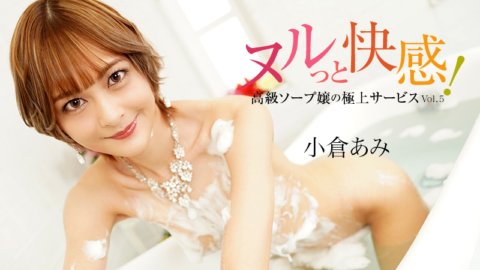 HEYZO-3690 ดีใจสุด ๆ ! การบริการที่ดีที่สุดของสบู่สตรีชั้นสูง Vol.5