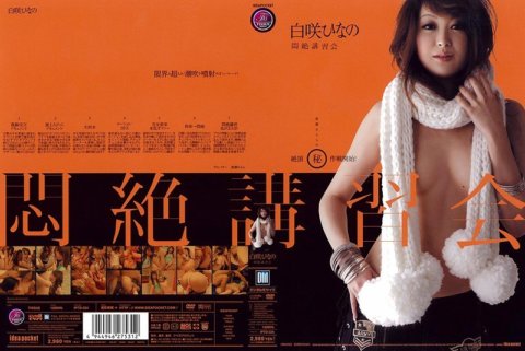 IPTD-224 痛苦研讨会 日野白崎